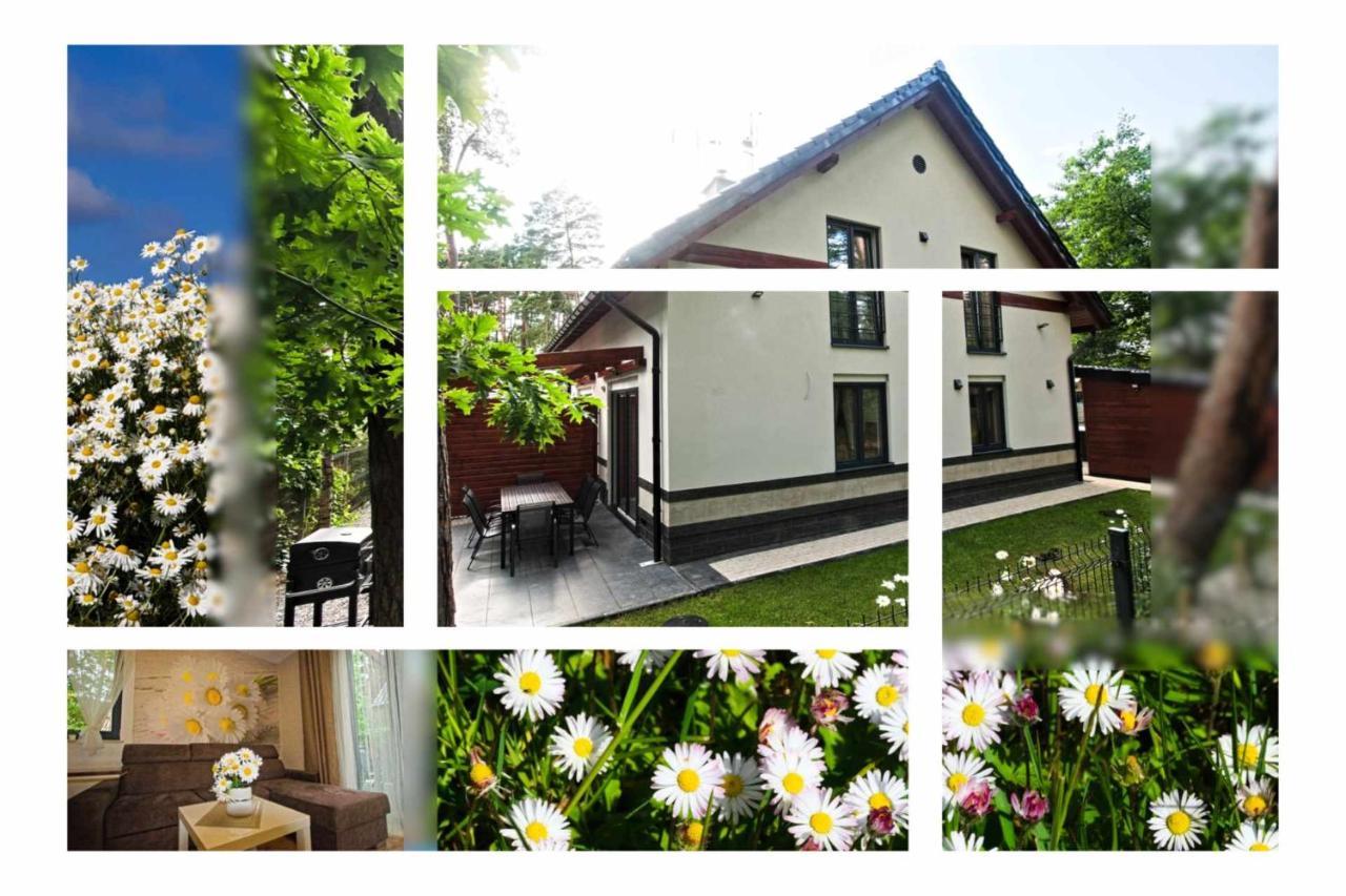 Daisy - Sunny Flowers Apartments Lukecin Luaran gambar